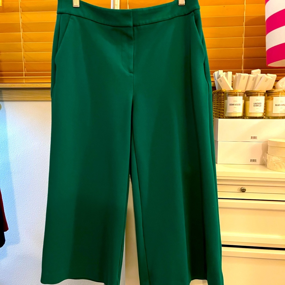 Boden Wide Leg Crop Pants in Green Size 10